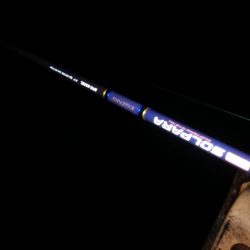 アジ◎　タチウオ✖