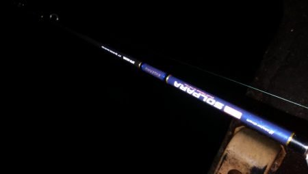 アジ◎　タチウオ✖