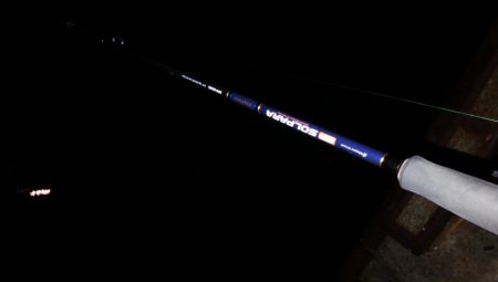 最湾奥ポイント釣行