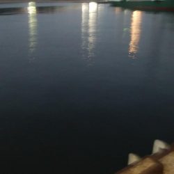 タチウオ最終盤