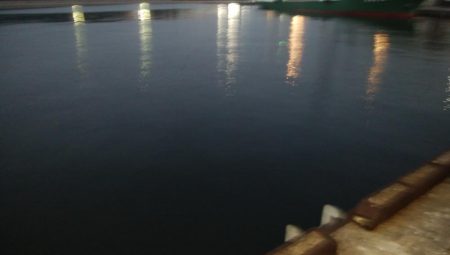 タチウオ最終盤