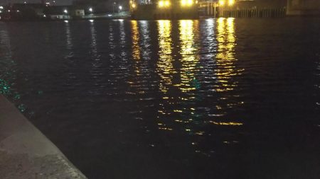 ぶら河川調査!!