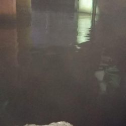 ぶらシーバス！！