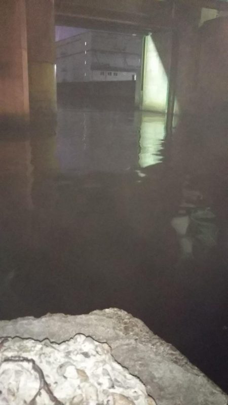 ぶらシーバス！！