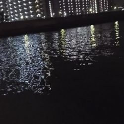 ぶらシーバス！！