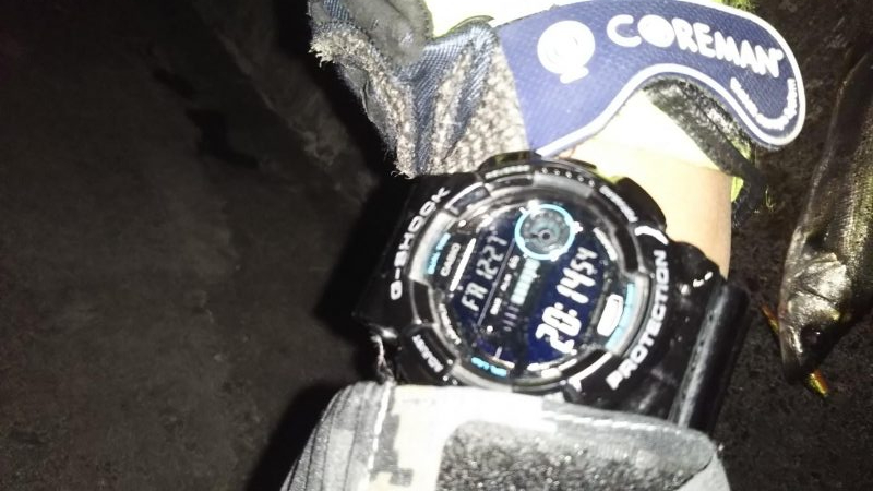 ぶらシーバス!!