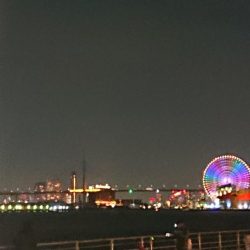 大きなタチウオ