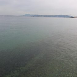 クリスマスカレイ！