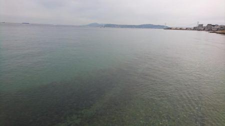 クリスマスカレイ！