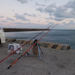 都志港へ落ちギス釣査