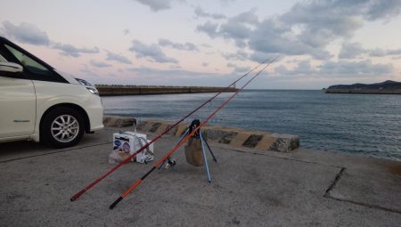 都志港へ落ちギス釣査