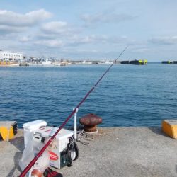 ラスト淡路釣行