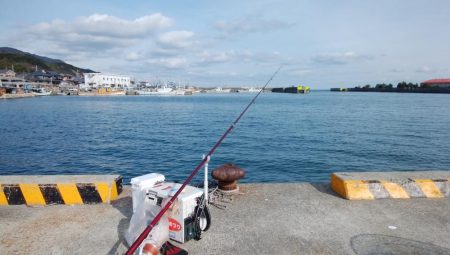 ラスト淡路釣行