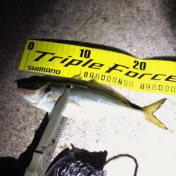 淡路がホームに