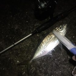 年末調整２日目！