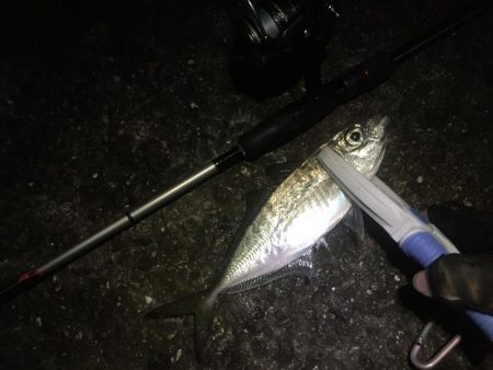 年末調整２日目！