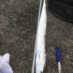 この時期とは思えない爆釣