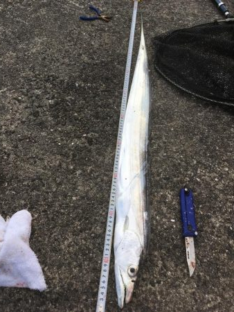 この時期とは思えない爆釣