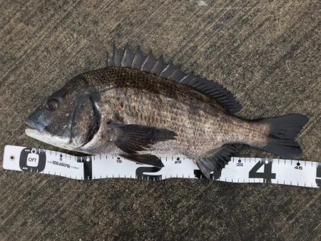 イチノ兄弟、釣果！