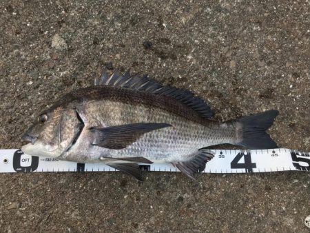 イチノ兄弟、釣果！