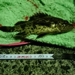 冬でも釣れますね