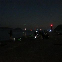 加太大波止でサバが釣れました