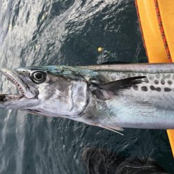 今年最後のカヤックフィッシング！？