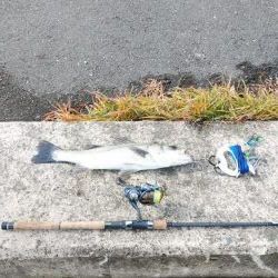 ウェーディング