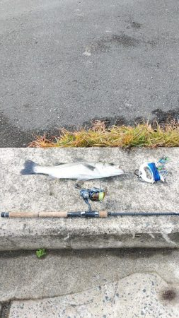 ウェーディング