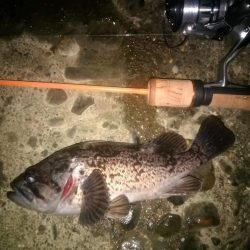 ジグ単でメバリング