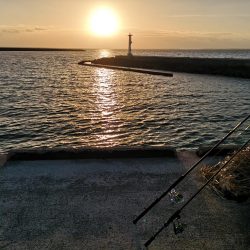 久しぶりのお出掛けでギンガメアジ