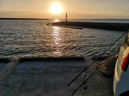 久しぶりのお出掛けでギンガメアジ