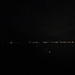 タチウオなんとか1本ゲット，しかし渋い！　