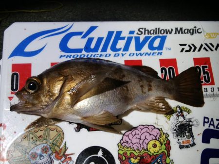 爆風キャロアジング