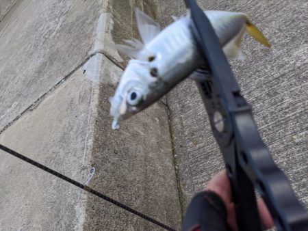 時合いにトラブル