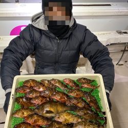 ロックフィッシュショート便❗️