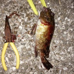 仕事終わりに‼️