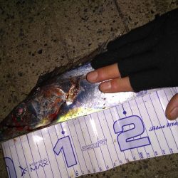 最後にドラゴンが