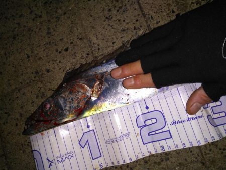 最後にドラゴンが