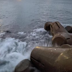 ショートでサイズアップ