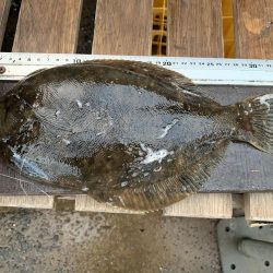 嵐の中での根性の釣り