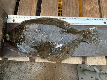 嵐の中での根性の釣り