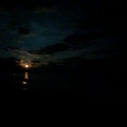 １７時から２時までの９時間、たった２回のアタリ。せめてもの慰めはキロ超級！