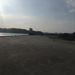 コアジ5匹のみ　強風　波高