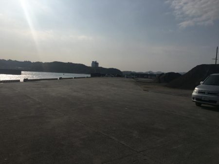 コアジ5匹のみ　強風　波高