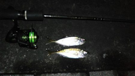 仕事終わりにアジング行って来ました。