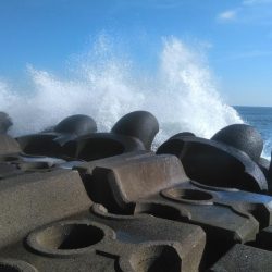 ワラサがガツン！