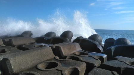 ワラサがガツン！