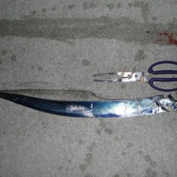 激渋でもメーター超