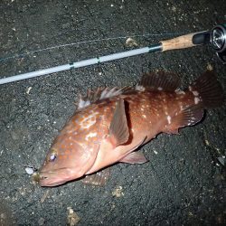 お宝発見! 神戸沖堤!